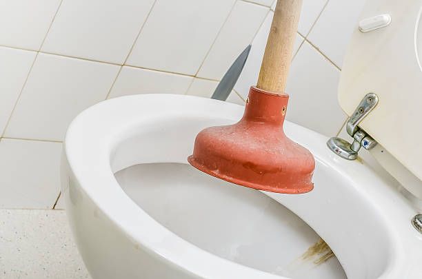 Plunger working on Toilet Clog
